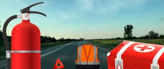 What you must carry with you in your car in 2021