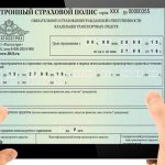 Если в полисе ОСАГО допущена ошибка: что делать по шагам