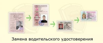 История водительских прав