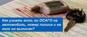How to find out if a car has compulsory motor liability insurance, the policy number and to whom it is issued?