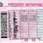 What does a driver&#39;s license look like?