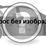 Picture for the question