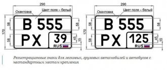 new numbers 2019