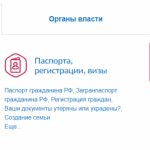 payment of fines at a discount through government services