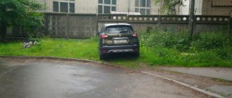 Остановка на газоне