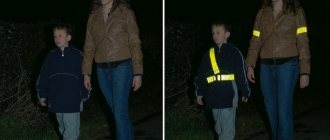 Пешеходы со светоотражающими жилетами и без них