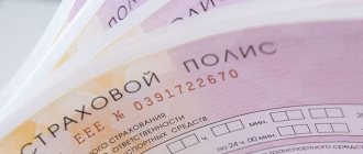 Полис ОСАГО