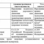Уголовная и административная ответственность при ДТП