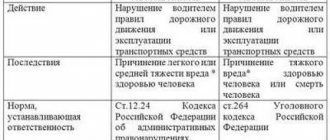 Criminal and administrative liability in case of road accidents